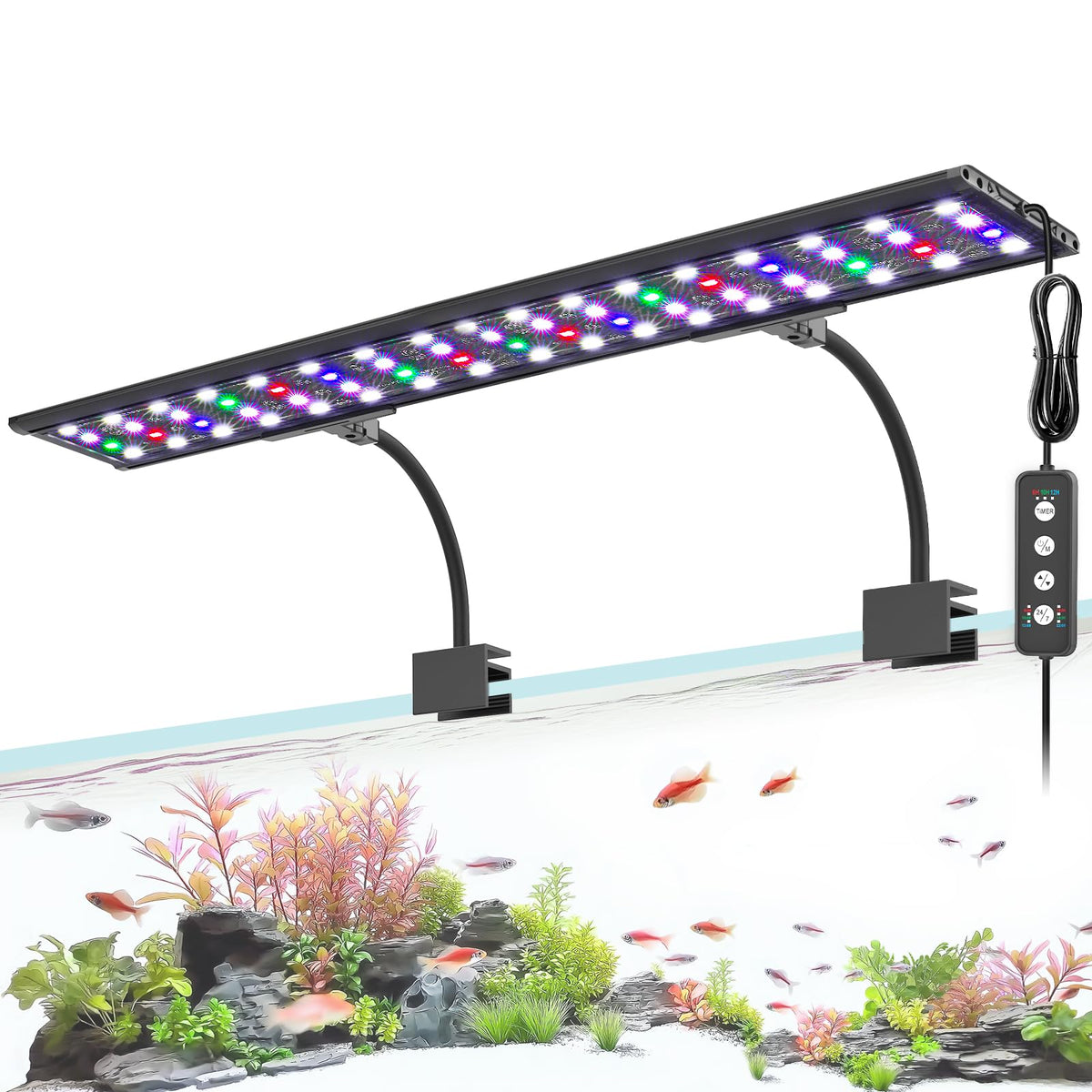 AQQA Electric Light in Black