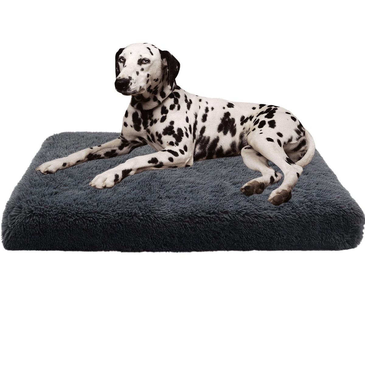 BECNBEAU Pet Bed Mat in S, Dark Grey
