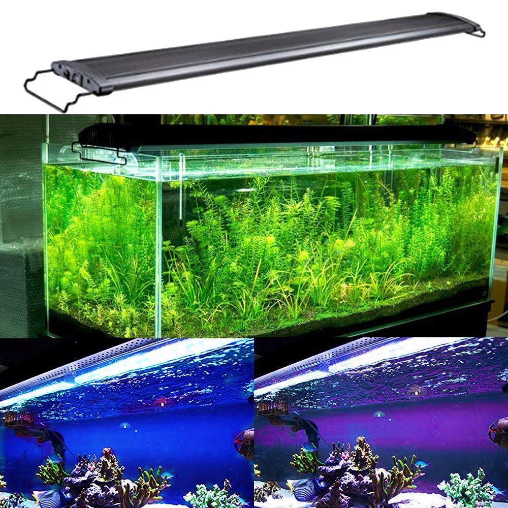 KZKR Lamp in Blue and White 48-60 inch, Blue,White