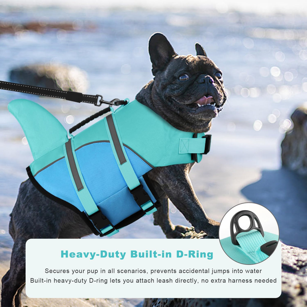 Doglay Pet Apparel in Small, Turquoise & Blue