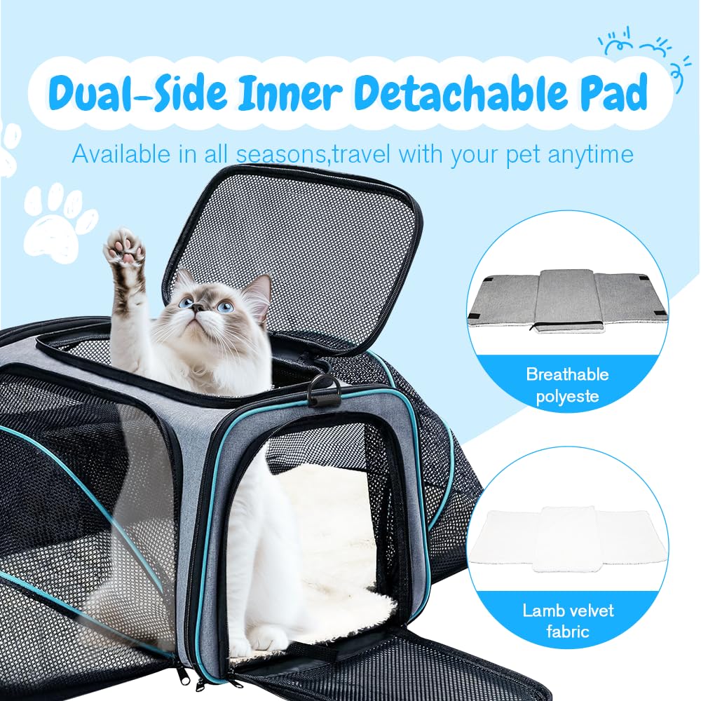 Srinlon ㅤ Animal Carrier in 18.0"L x 11.0"W x 11.0"H, Blue