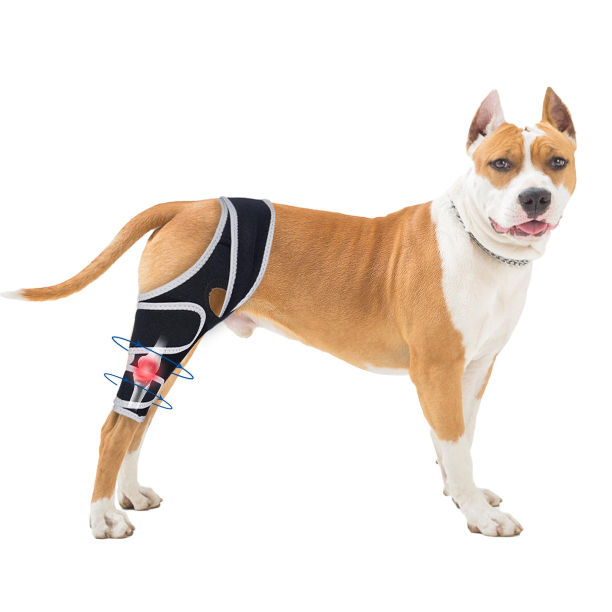 Moysoon Pet Supplies in S, Black