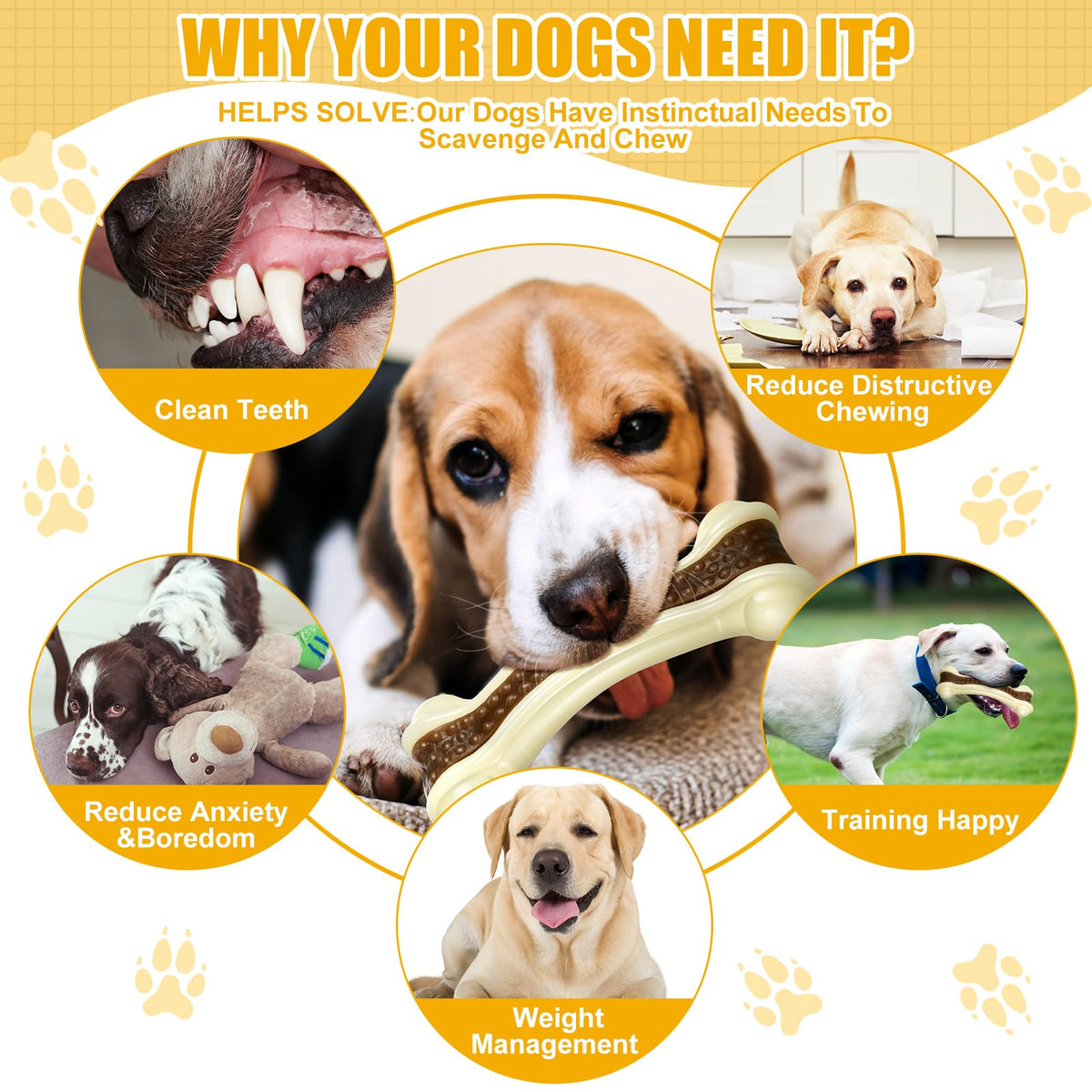 Sosation Pet Toy in Medium/Large, as shown