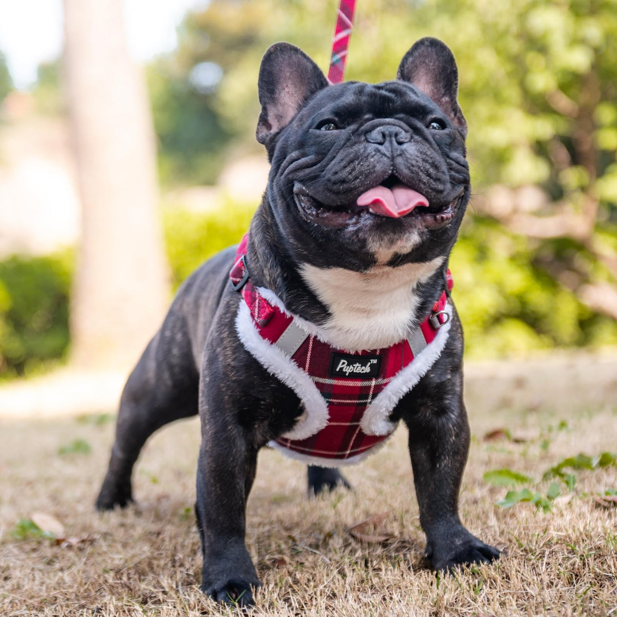 PUPTECK Animal Harness in L (25-33lbs, Chest 20"-25"), #3 Red(Plush Plaid)