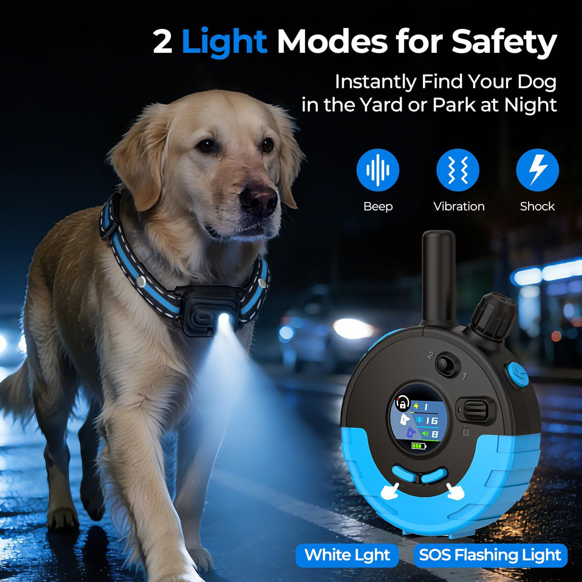 RPZ Animal Collar in 1 Receiver, Blue