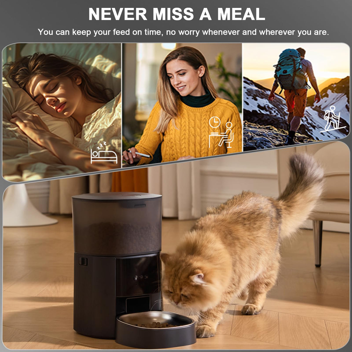 MZZ Pet Feeder in Black