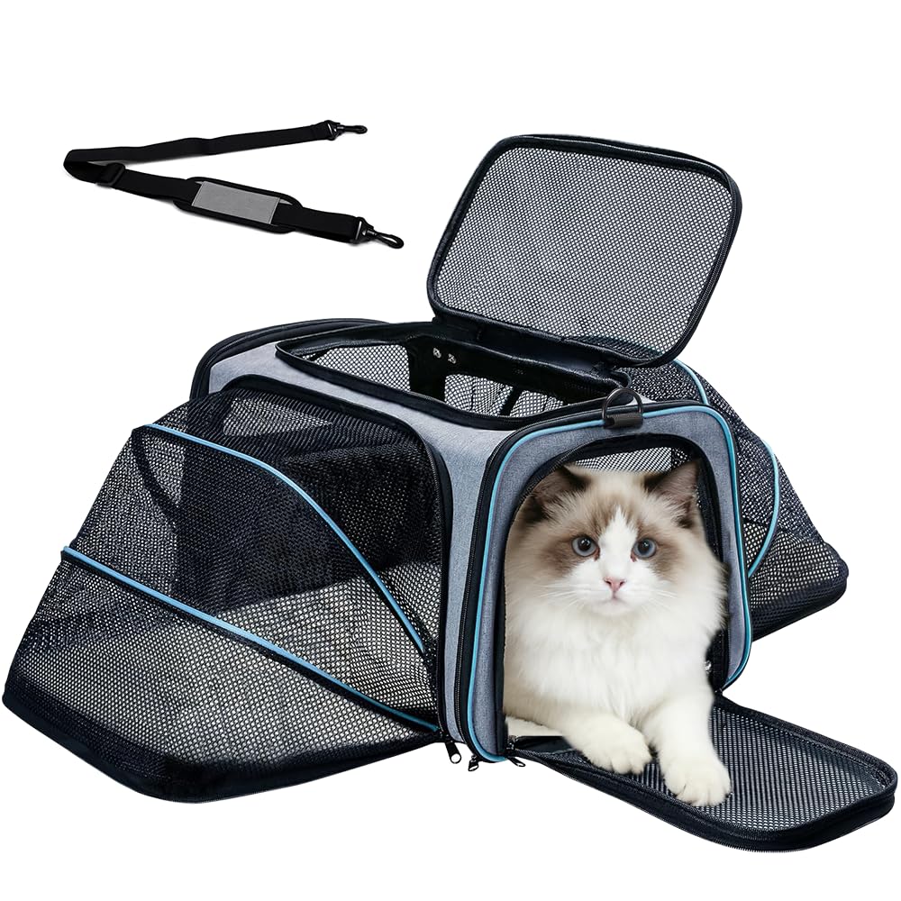 Srinlon ㅤ Animal Carrier in 18.0"L x 11.0"W x 11.0"H, Blue