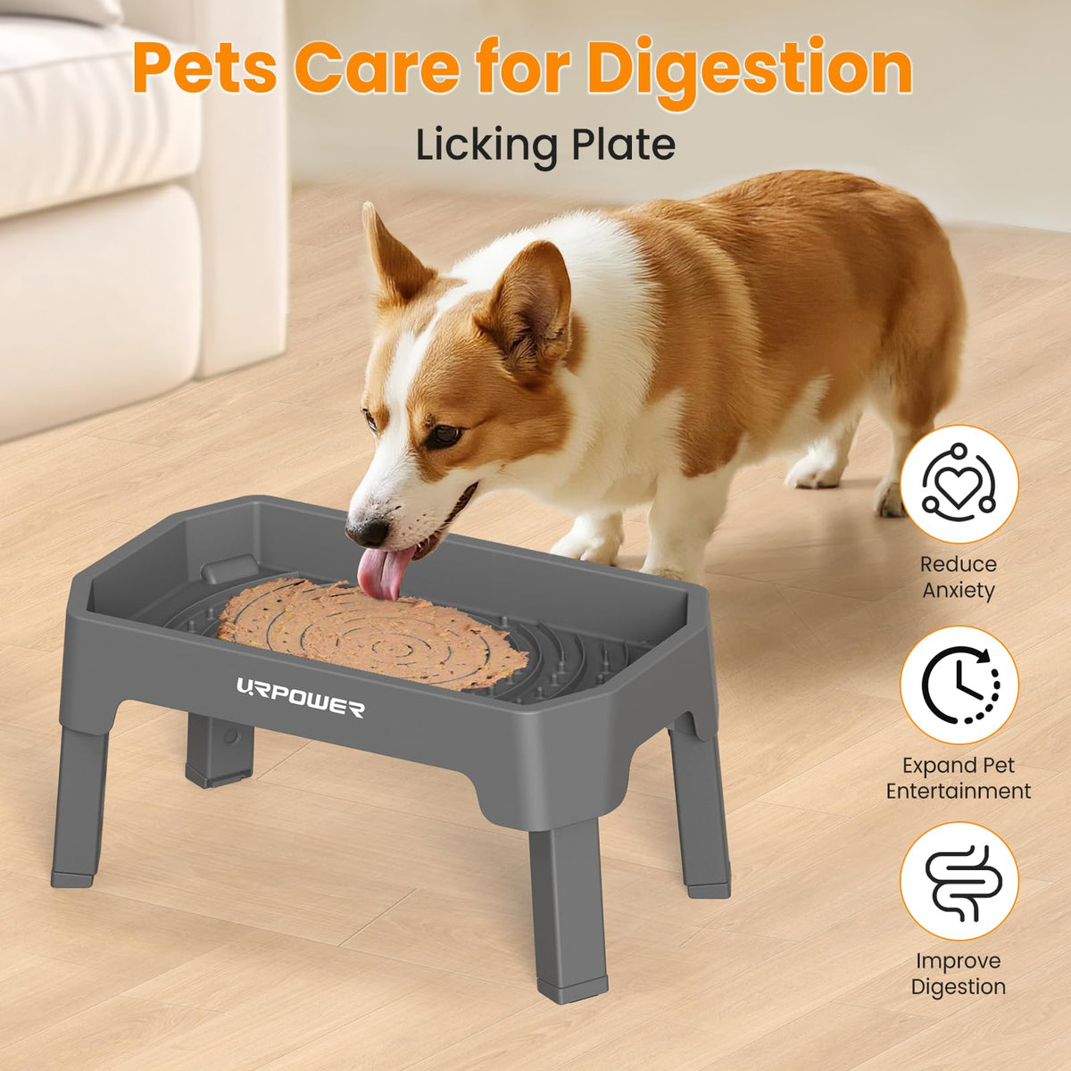 URPOWER Pet Feeder in Large, Grey