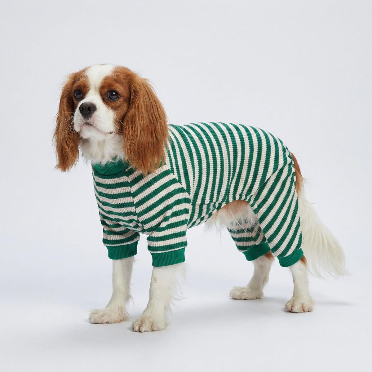 Fitwarm Pet Apparel in X-Small, Green