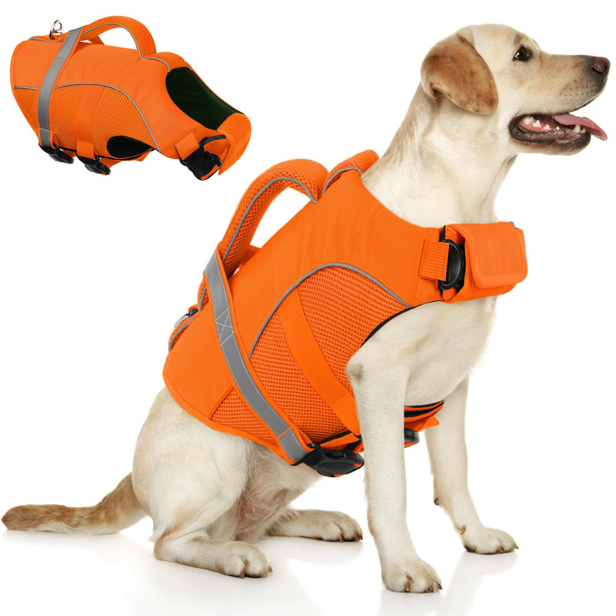 Queenmore Pet Apparel in X-Small, Orange