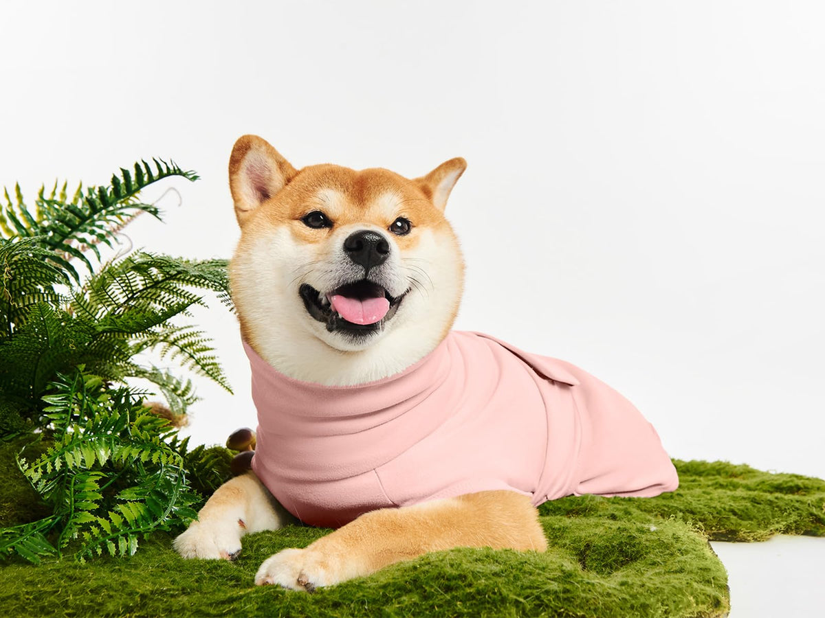 Haloumoning Pet Apparel in X-Small, Pink