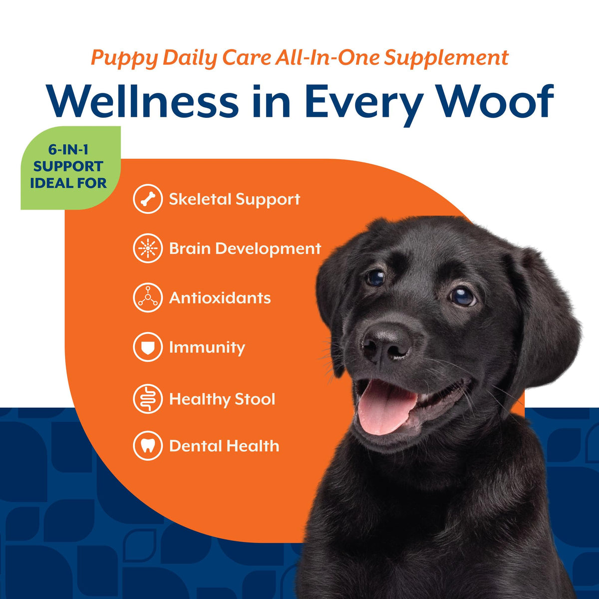 NaturVet Animal Vitamin in Puppy- 60 Soft Chews, Life Stages