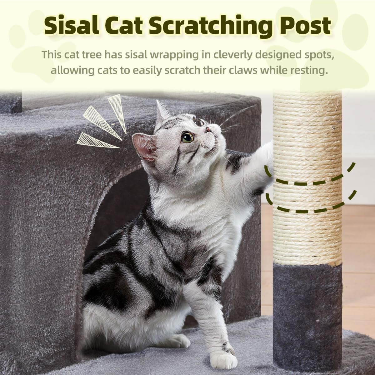 Taoqimiao Pet Activity Structure in L, Smoky Gray