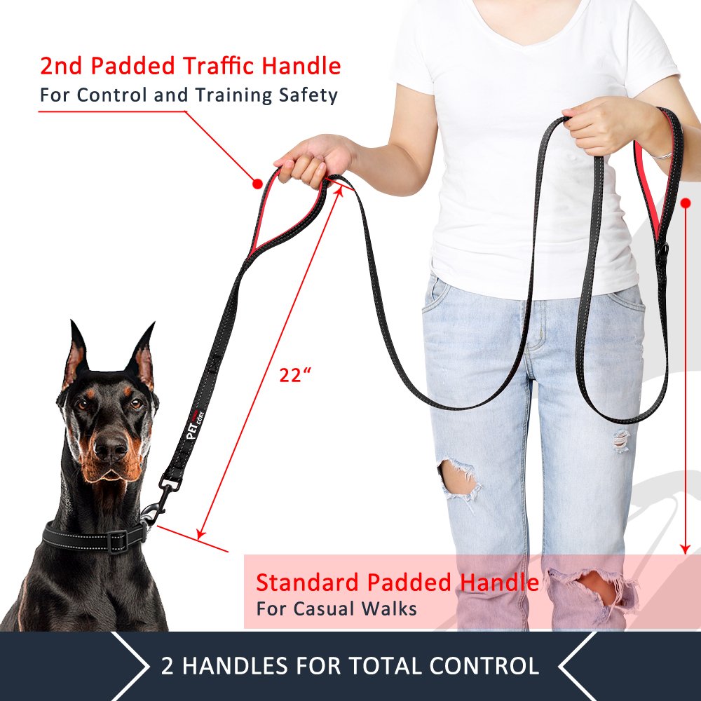 PLUTUS PET Leash in 4 FT, Black