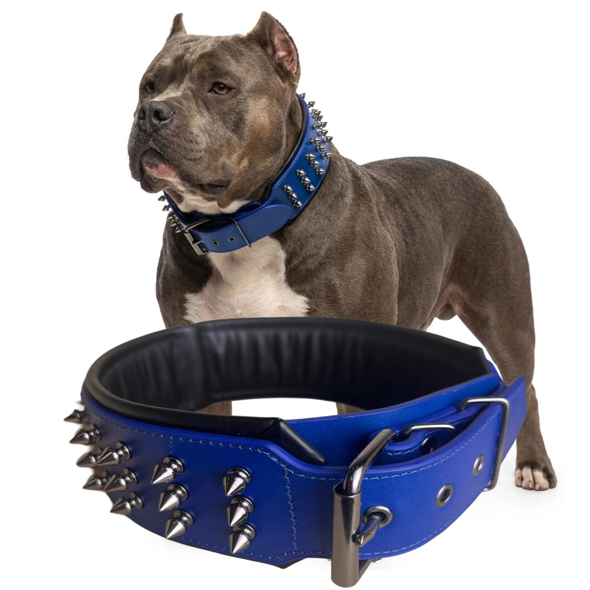 Molteriqo Animal Collar in XL-neck 49-57cm, Blue