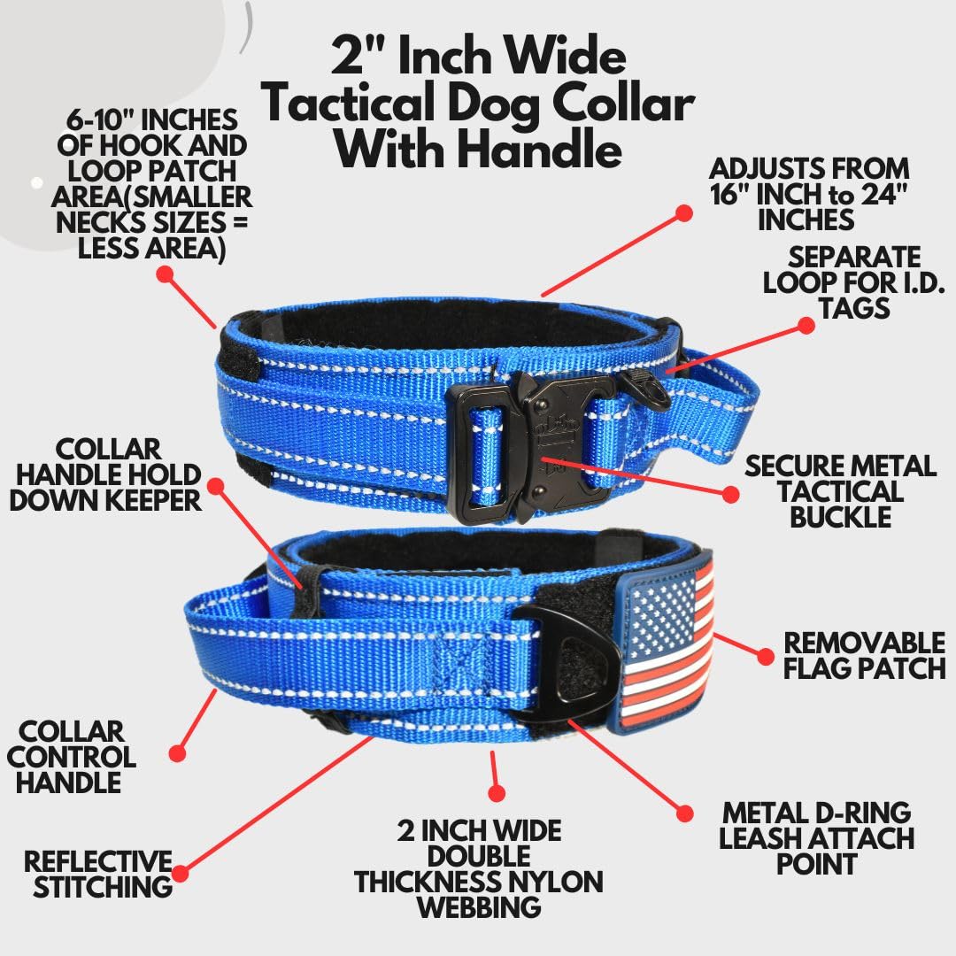 DEZIZEUSK9 Animal Collar in 16-25 INCH, BLACK-COBVEL2