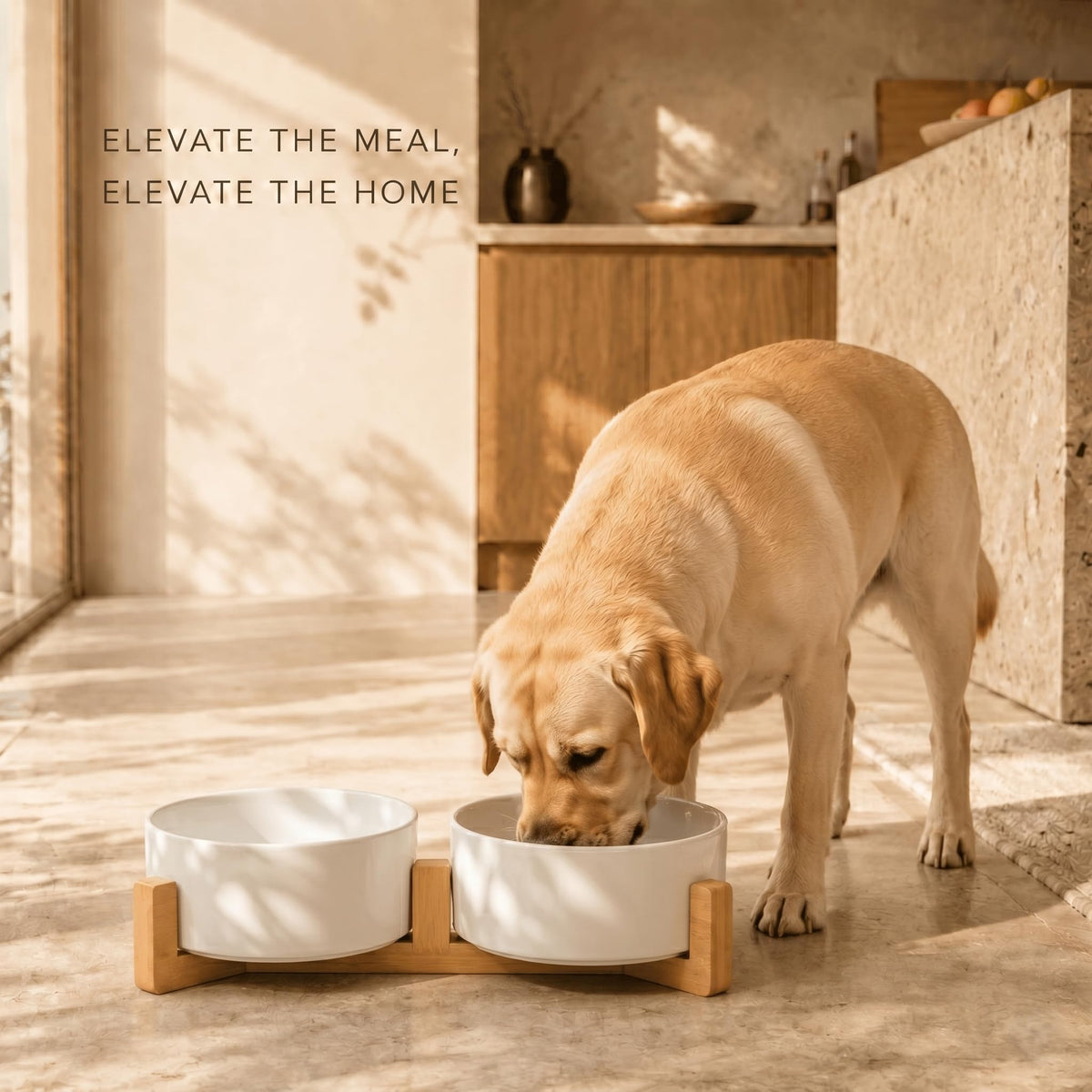 SPUNKYJUNKY Pet Feeder in 5 cups, White × 2