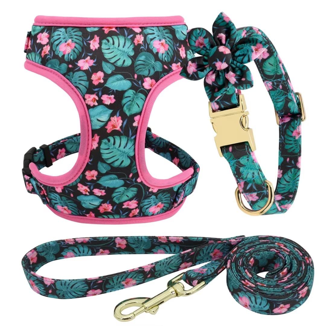 Beirui Animal Harness in XS:Fit 6-12 lbs, Green