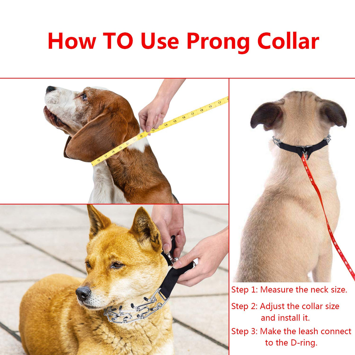 Aheasoun Animal Collar in Medium,3mm,19.6-In, with Buckle, Silver