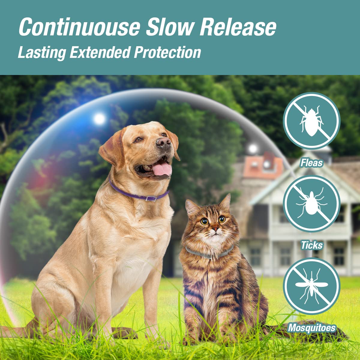 ZingZap Pet Pest Control in Blue