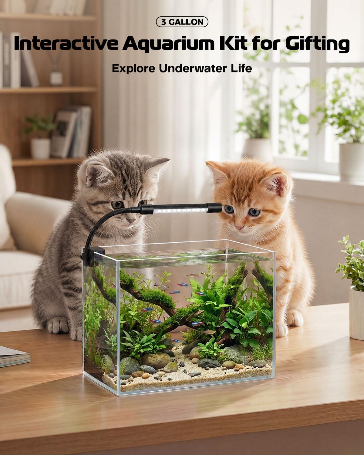 minilake Vivarium in 3 Gallon, Transparent