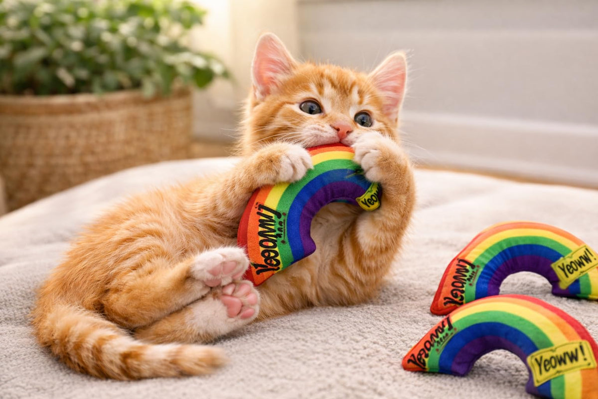 Yeowww! Pet Toy in 6 inches, Rainbow