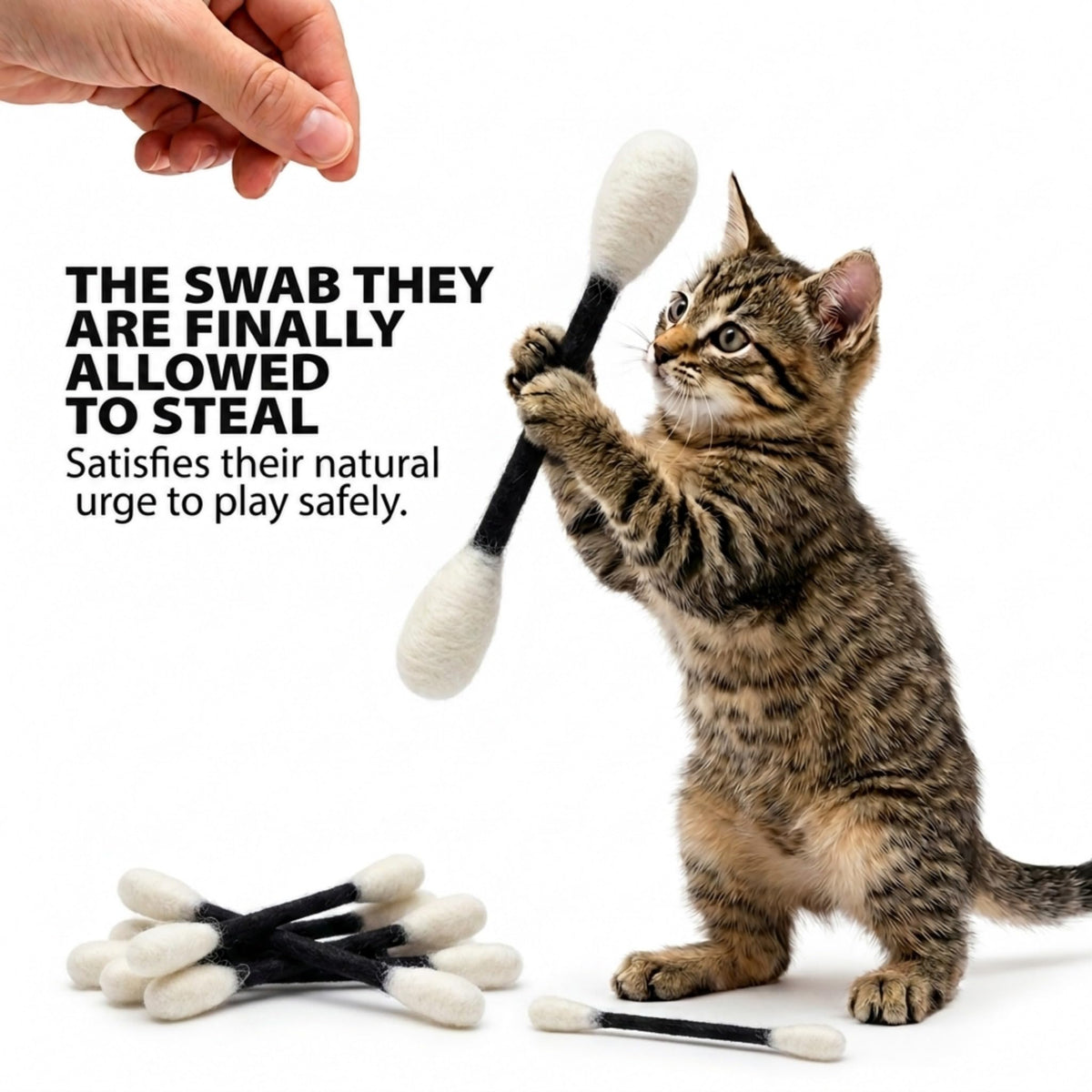 Glaciart One Pet Toy in Regular, Black Swabs