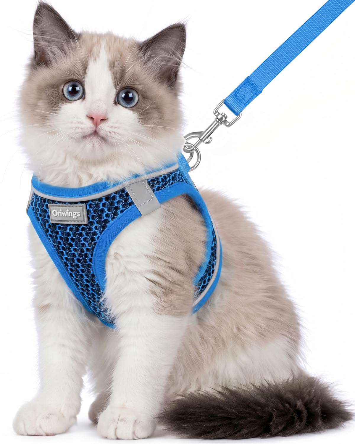 Oriwings Animal Harness in XXS, Blue