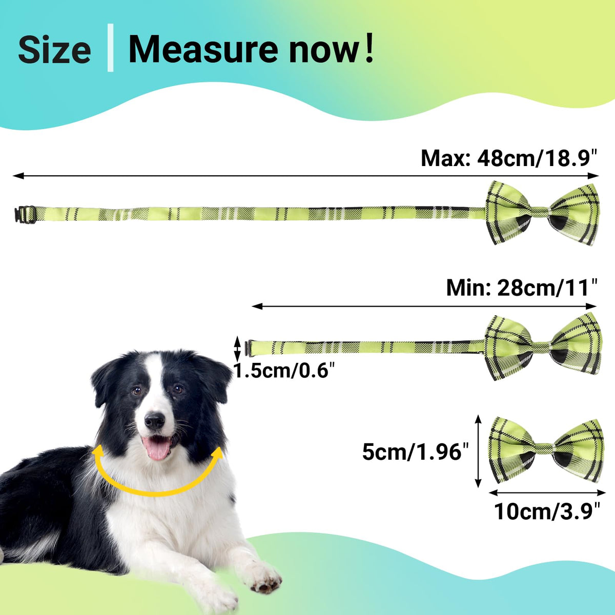 Segarty Pet Apparel in Small to Medium, 80pcs-vivid