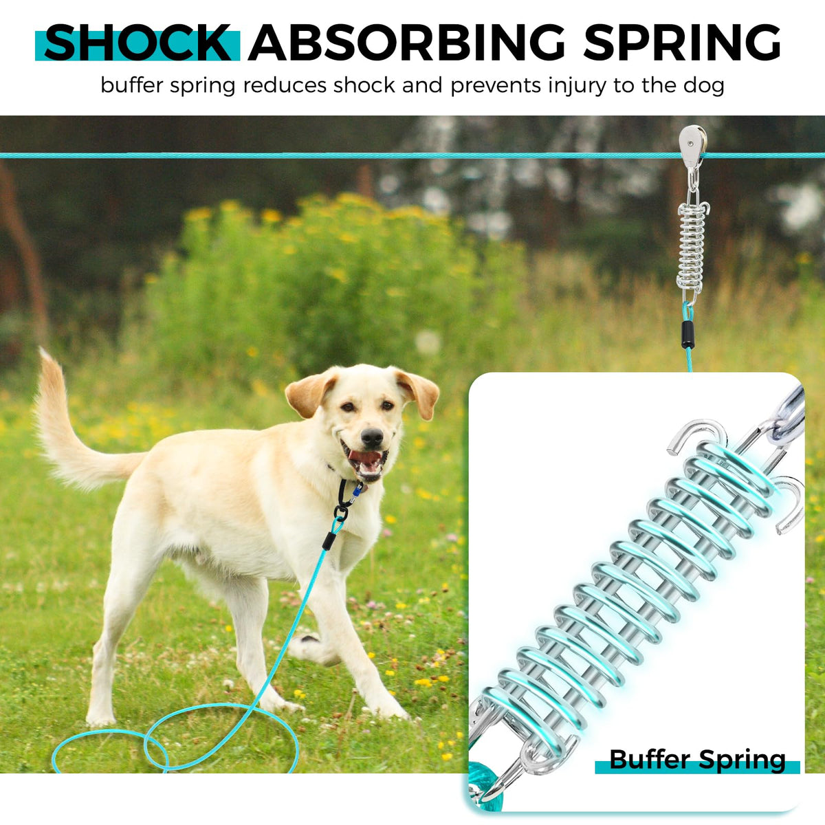 Snagle Paw Leash in 50ft run cable+10ft tie out cable, Teal for 250lbs dogs