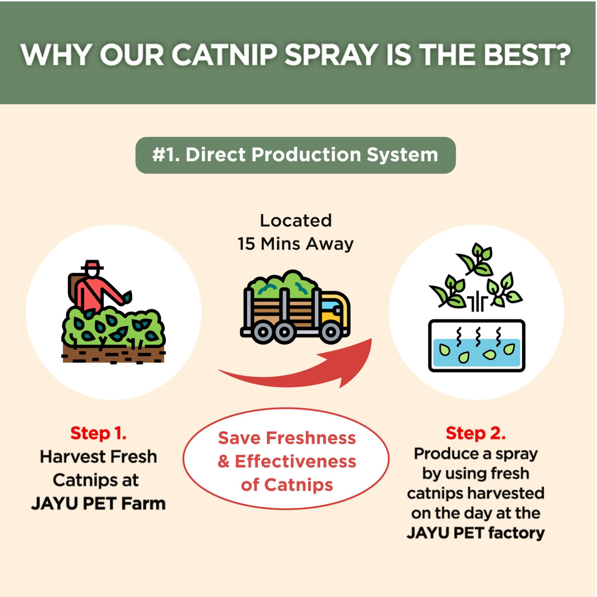JAYU PET Pet Toy in 1fl oz, Catnip
