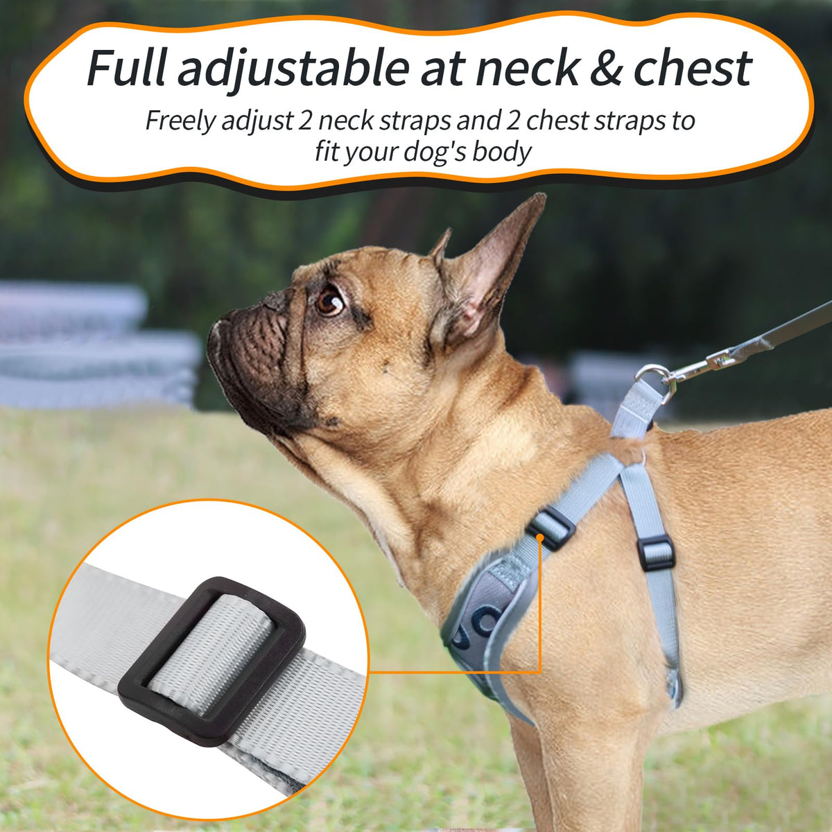SAEGYPET Animal Harness in XS, Gray-2