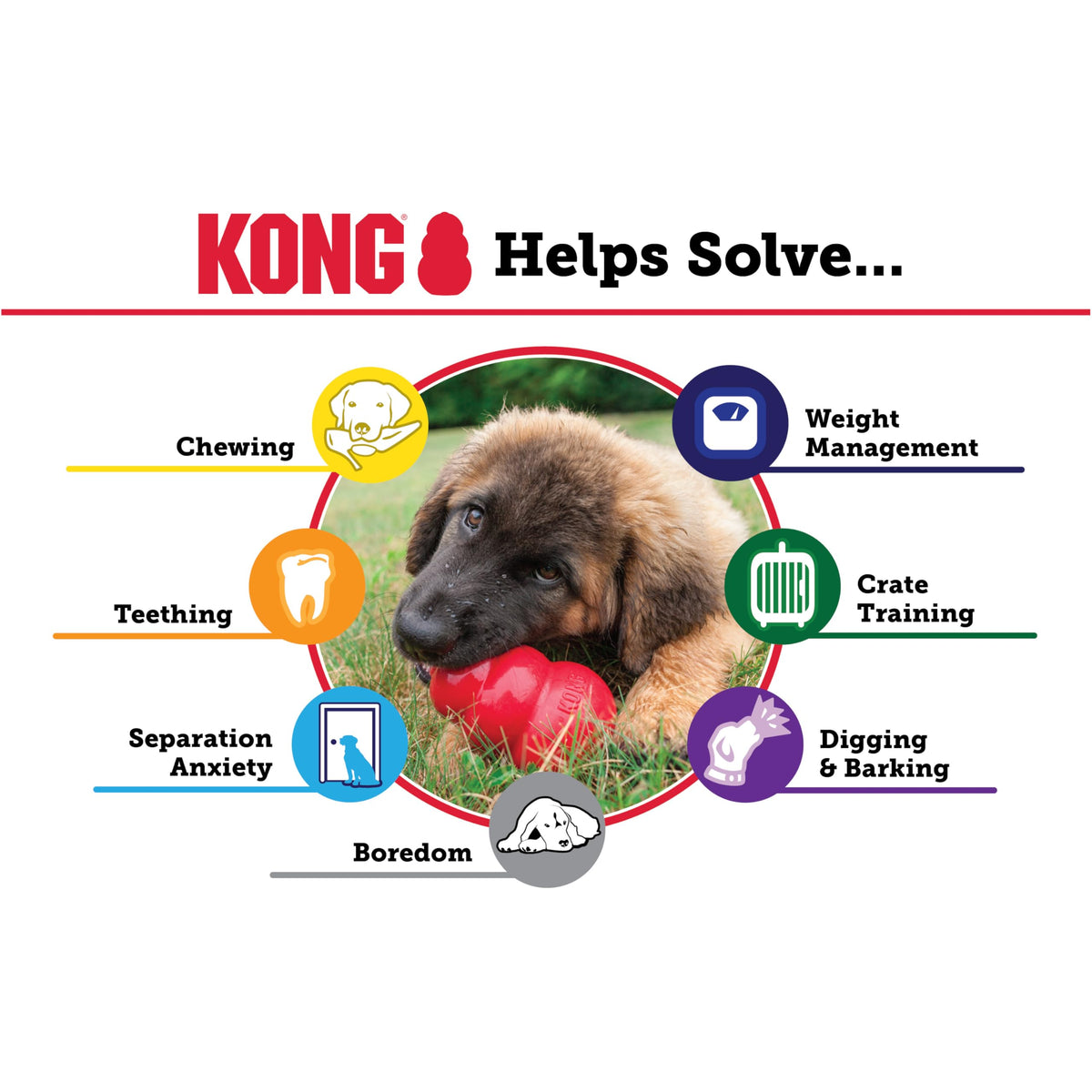KONG Pet Toy in Medium (Pack of 1), Red
