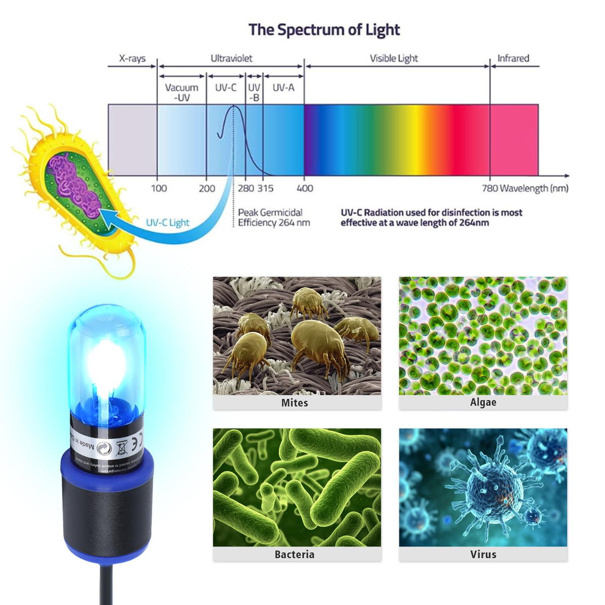 Ayamaxon Electric Light in Timer 3w, Timer