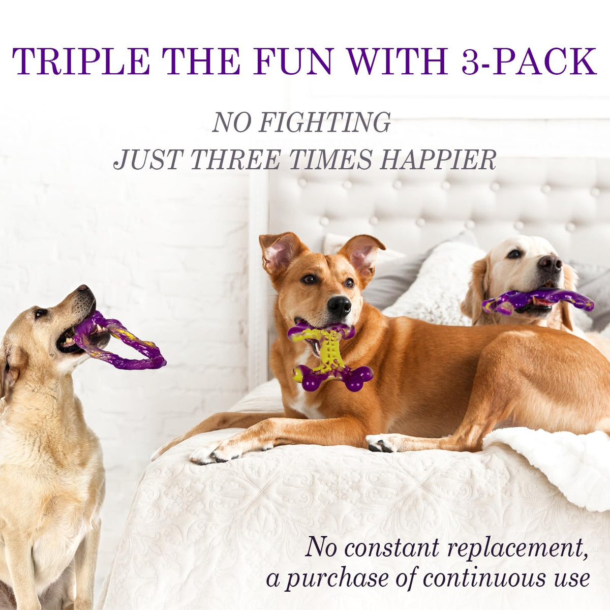 Frienhund Pet Toy in 3 Pack, Purple