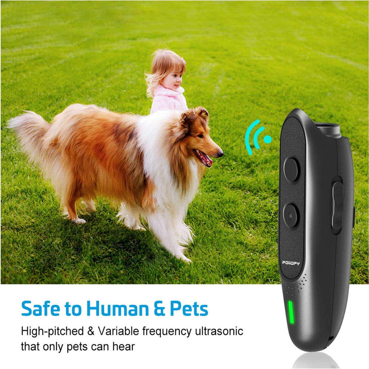 POIIOPY Pet Supplies