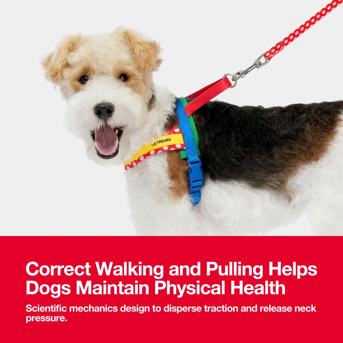 VETRESKA Animal Harness in XS(Chest: 16.9"-22"), Chroma Red