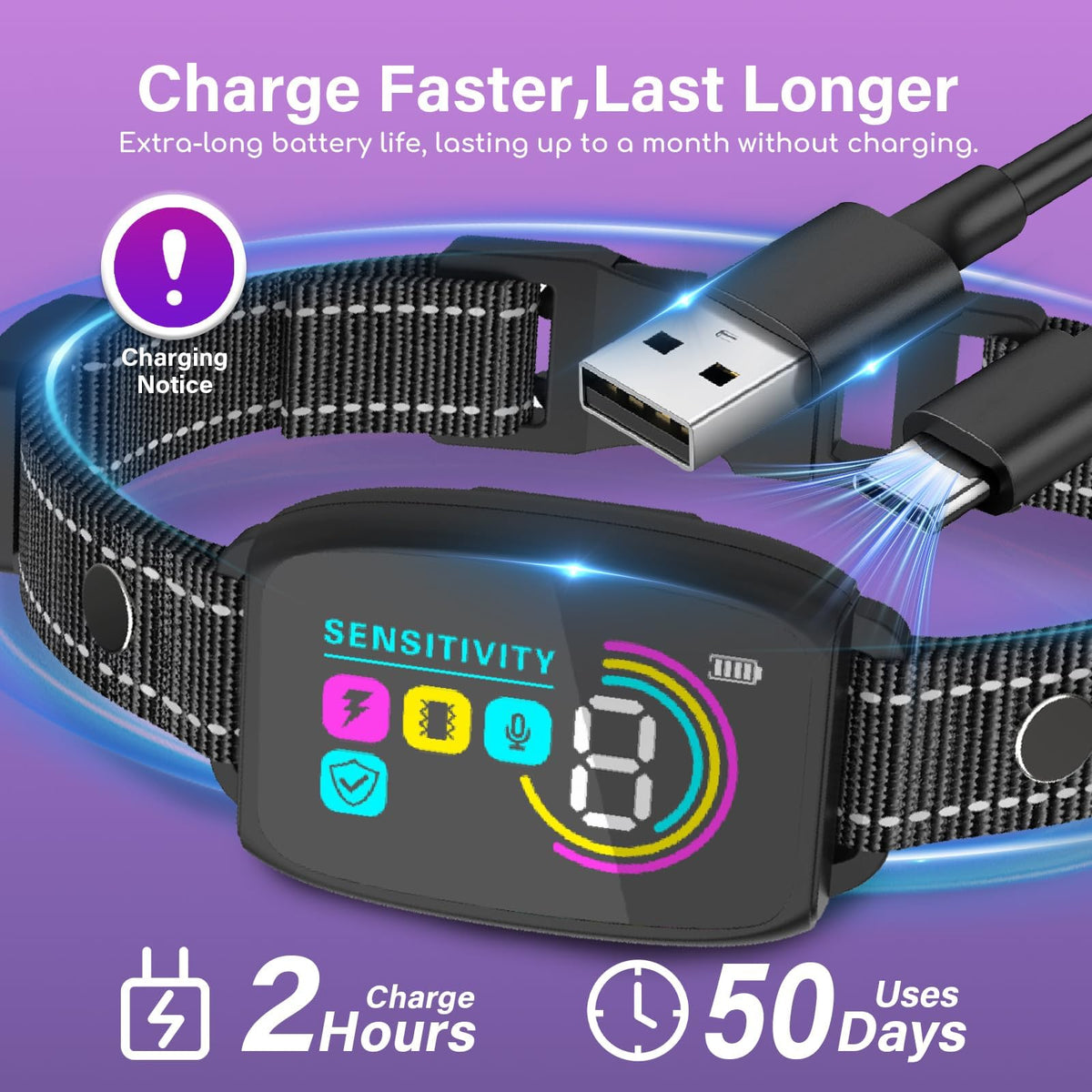 XCPP Animal Collar in Black