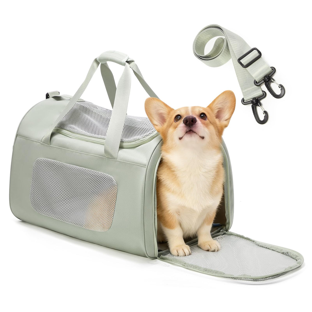 WEPLAN Animal Carrier in 20.8"L x 14.2"W x 13.4"H, Mint Green