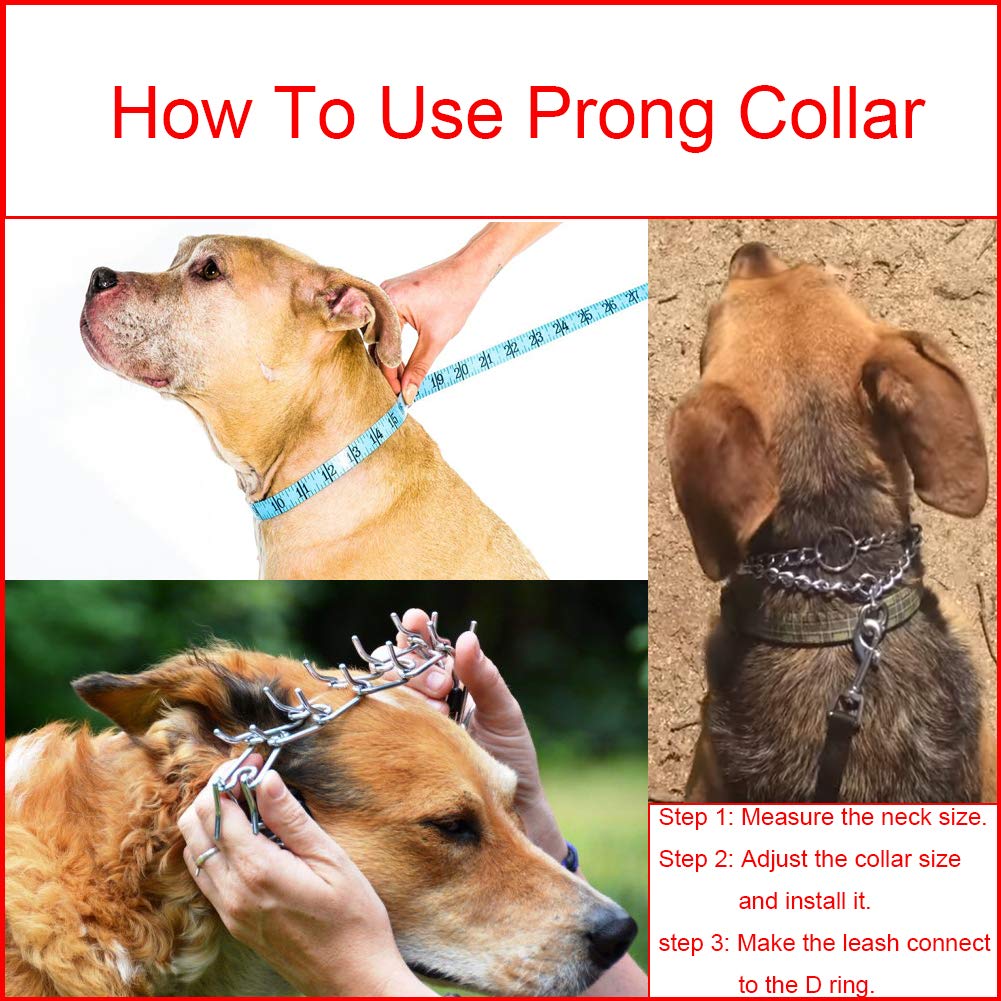 Aheasoun Animal Collar in Large, 4.0mm, 23.6-Inch, Silver