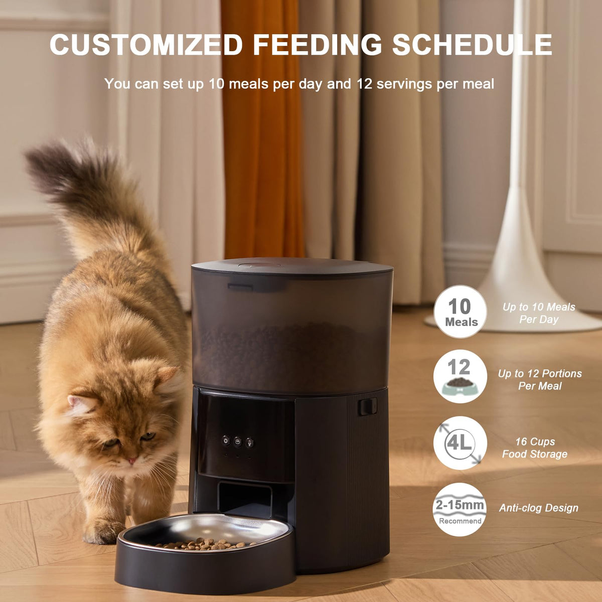 MZZ Pet Feeder in Black