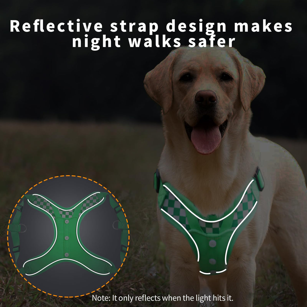 SAEGYPET Animal Harness in L, Green (denim)