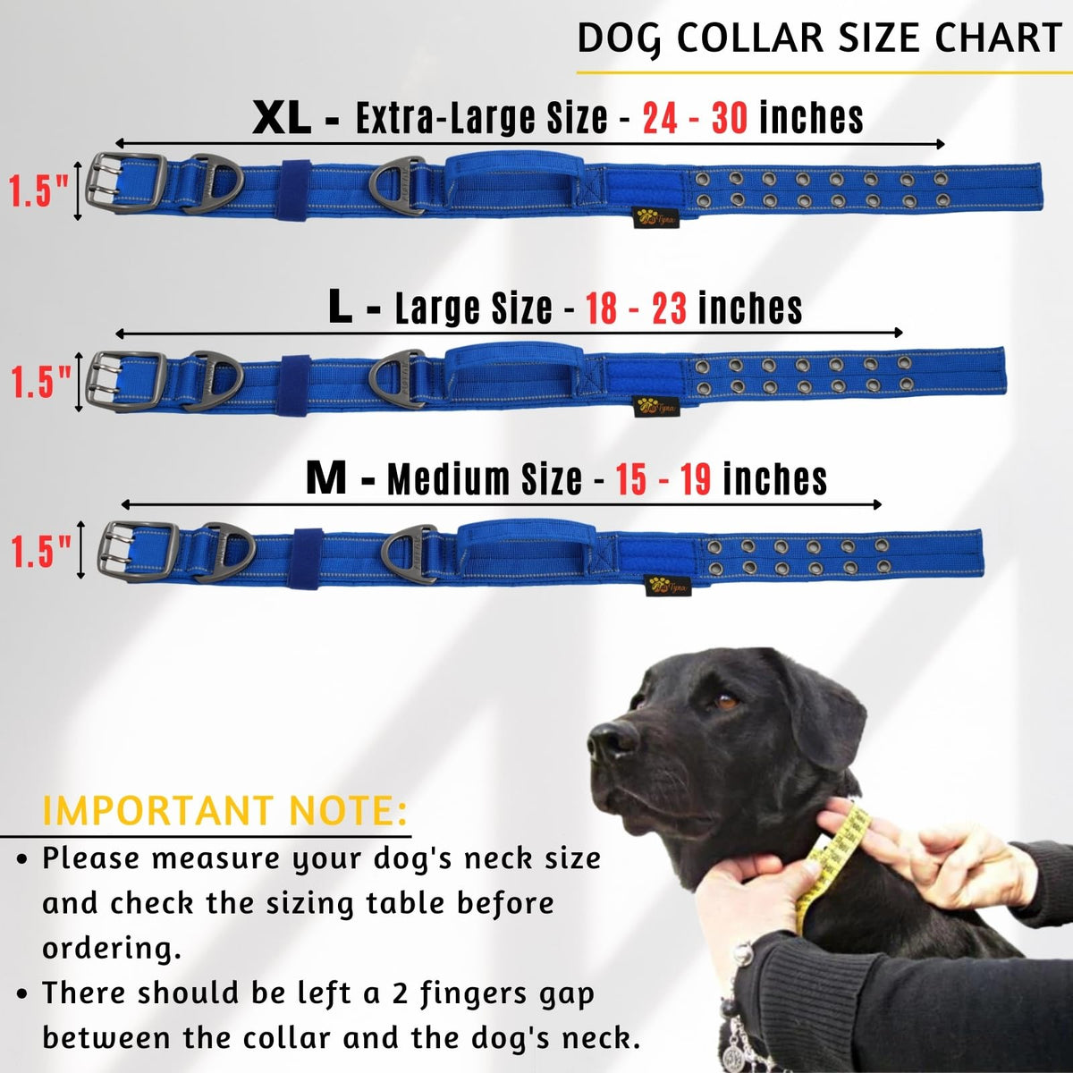 ADITYNA Animal Collar in Extra-Large: Fit 24-30" Neck, Royal Blue