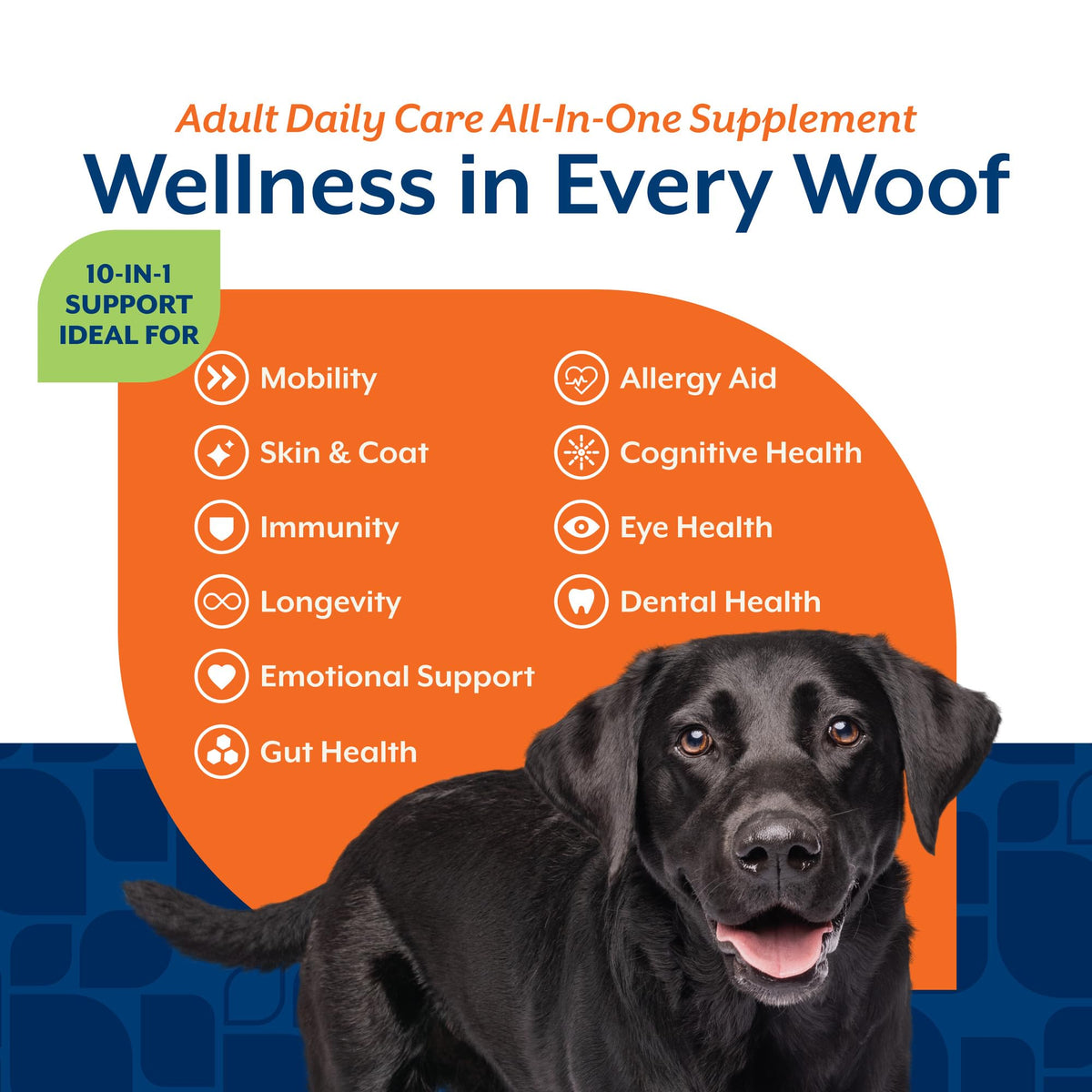 NaturVet Animal Vitamin in Adult- 60 Soft Chews, Life Stages