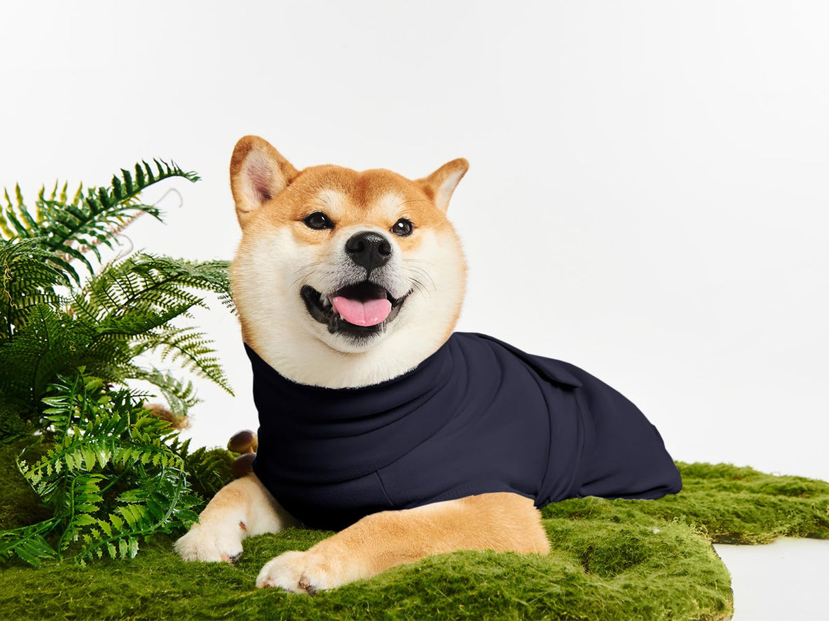 Haloumoning Pet Apparel in X-Small, Navy Blue