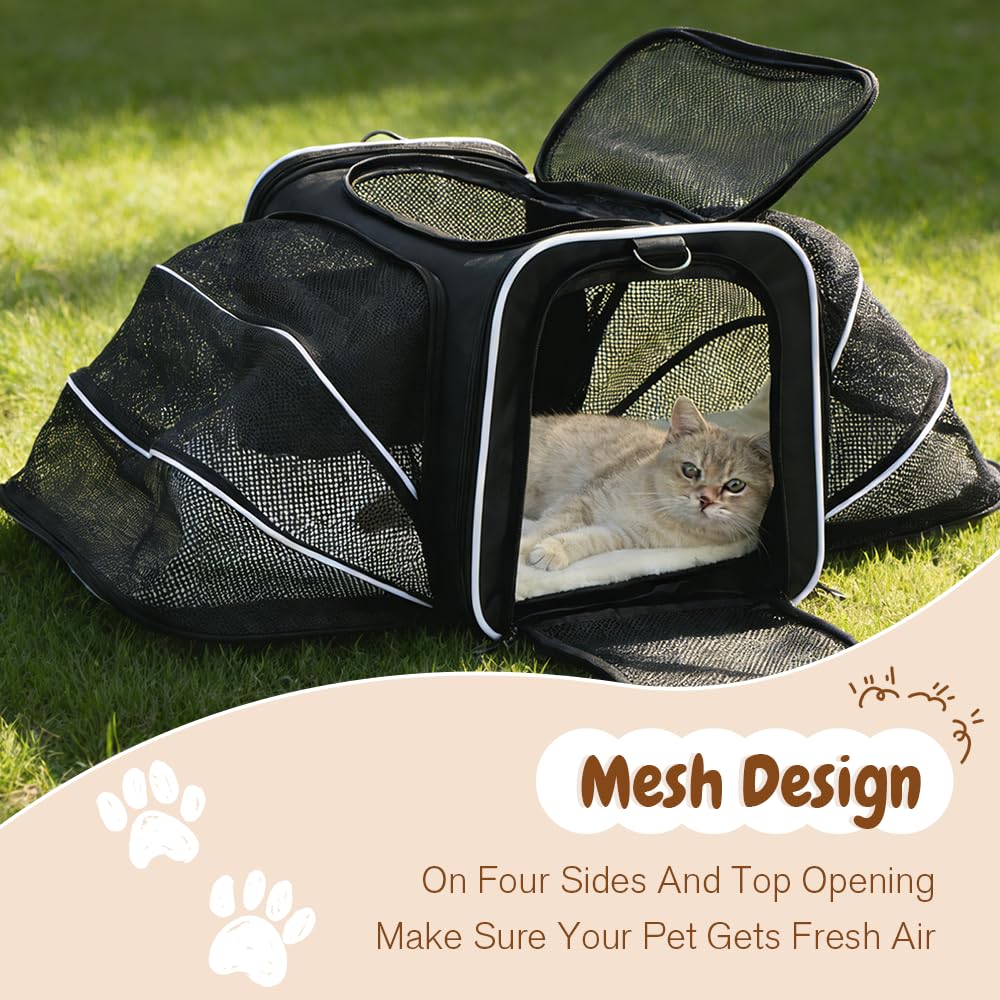 Srinlon ㅤ Animal Carrier in 18.0"L x 11.0"W x 11.0"H, Black
