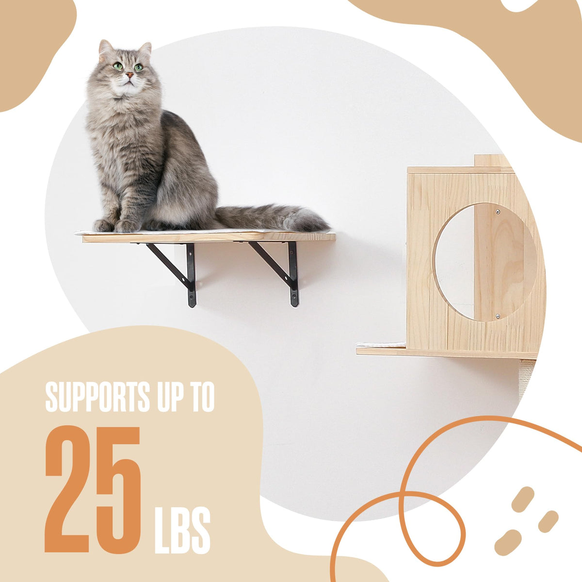 Houseables Pet Activity Structure in 14 x 10 x 6 inches