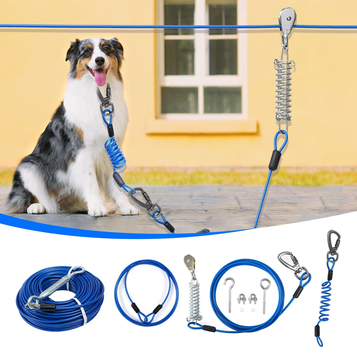Duckygoo Leash in 50FT+10FT,250LBS, Blue
