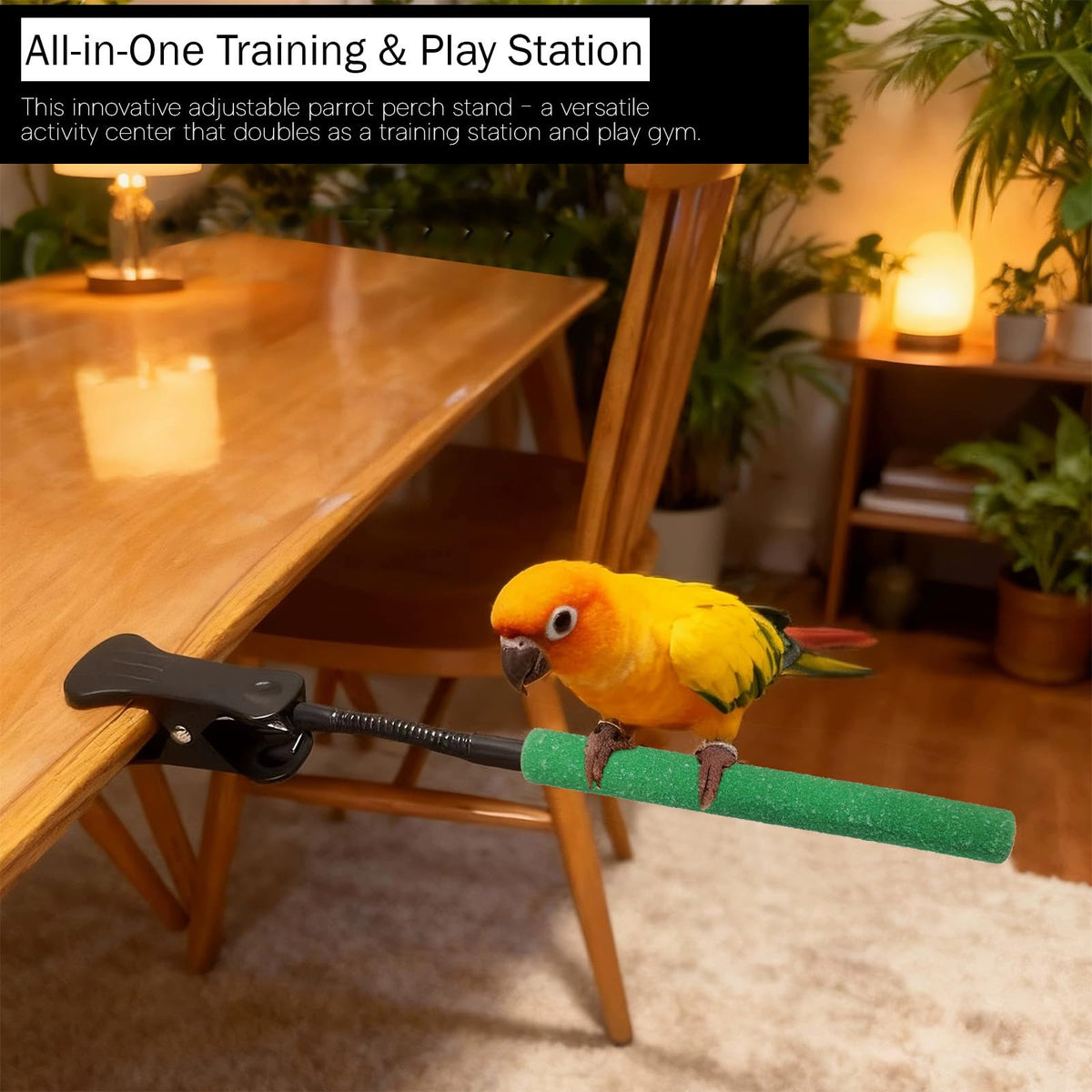 qumHmup Animal Perch in Small To Medium, 02-Parrot Perch Stand