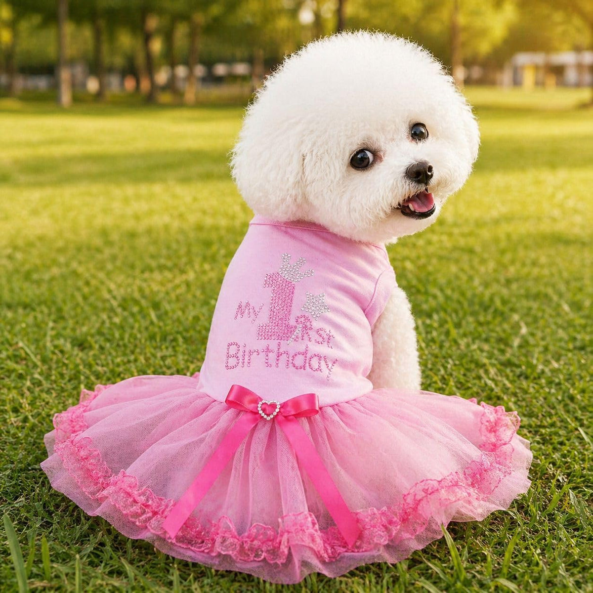Petitebella Pet Apparel in X-Small, Pink/Pinks Lace